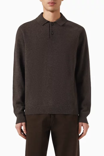 Polo Sweater in Knit