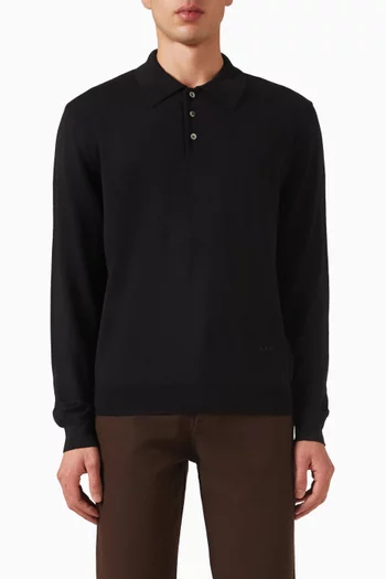 Riou Polo Sweater in Wool