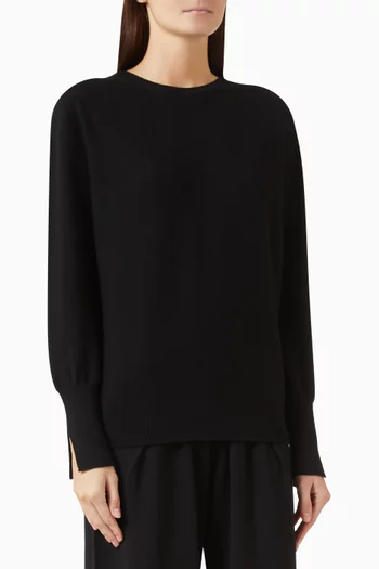 Samie Fine Round-neck Sweater in Wool
