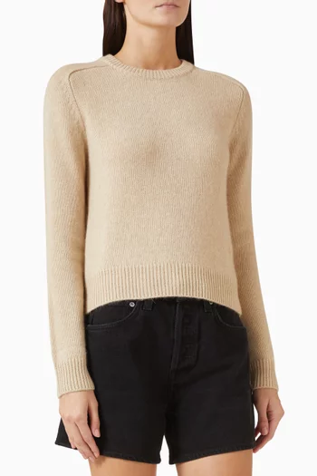 Caroline Crewneck Sweater in Cashmere