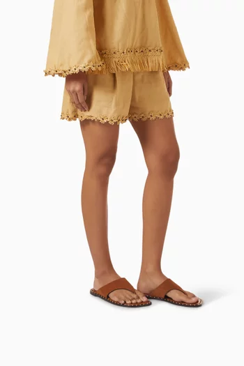 Soléa Flat Sandals in Suede