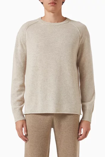 Balthazar Crew-neck Sweater in Cashmere