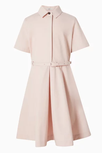 Belted Collar Dress