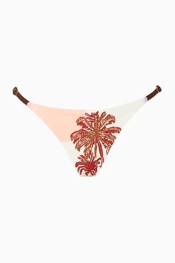 Flash Embroidered Low-rise Bikini Briefs