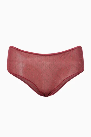 Boyshorts in Mesh