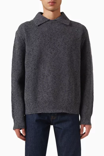 Polo Sweater in Knit