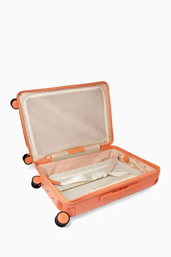 Carry On Casesafe Suitcase