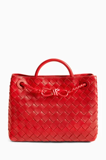 Small Andiamo Top Handle Bag in Intrecciato Leather