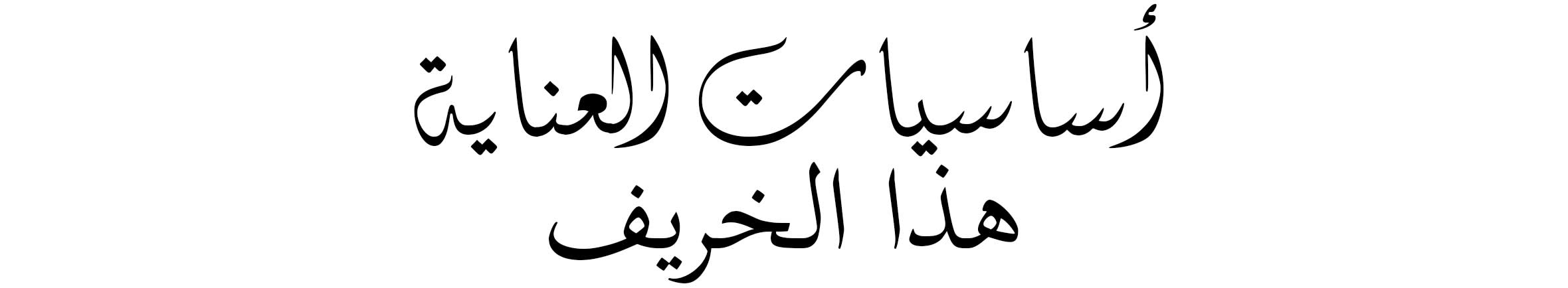 Arabic Lockup - Web@2x