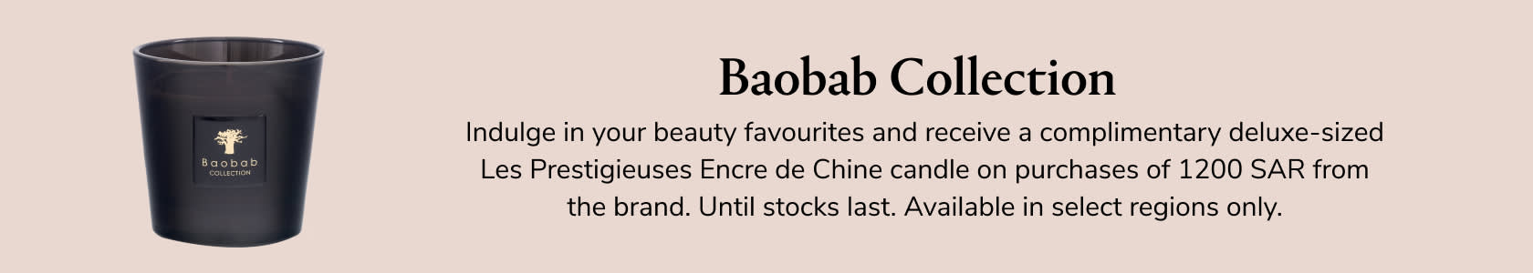 Baobab GWP PDP+PLP WEB EN SAR