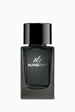 Mr burberry sale perfume 100ml