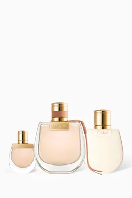 Chloe discount nomade nordstrom
