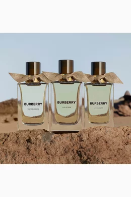 Burberry eau de toilette xtreme clearance