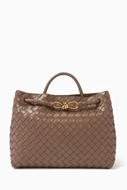【関税&送料込】Bottega Veneta Andiamo Crossbody Bag In Intr Bottega Veneta Andiamo Crossbody Bag in Fondant & Muse Brass