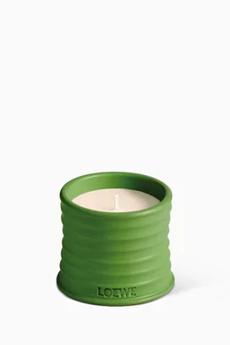 アロマグッズ LOEWE Luscious Pea Scented Candle 170g Buy LOEWE PERFUMES Small Green Luscious Pea Scented Candle, 170g