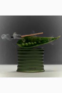 Buy LOEWE PERFUMES Small Green Luscious Pea Scented Candle, 170g