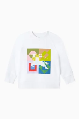 Burberry colorful sweatshirt shop