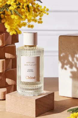 Buy Chloé Perfumes Atelier des Fleurs Herba Mimosa Eau de