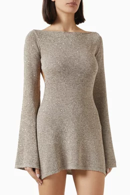audette mini dress Sheer Slim Mini Dress