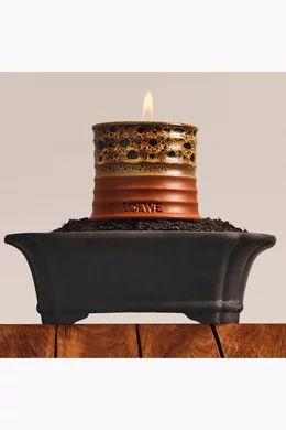 Buy LOEWE PERFUMES Small Mimosa Candle, 170g For UNISEX Online