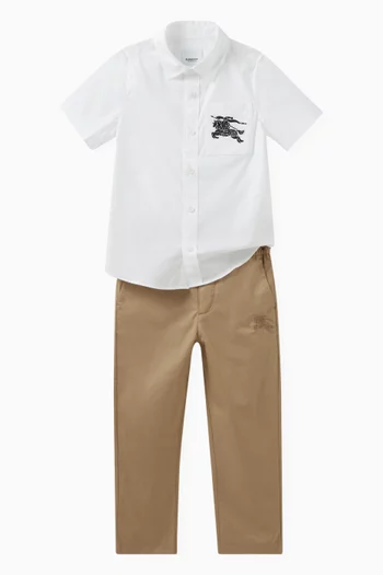 Logo-embroidered Chino Pants in Cotton