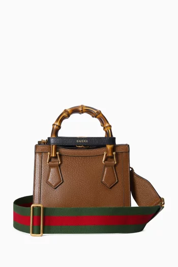 Mini Diana Tote Bag in Leather