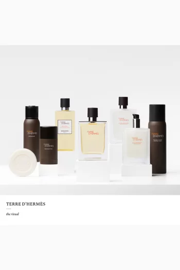 بخاخ مزيل للرائحة Terre d'Hermes،‏ 150 ملل