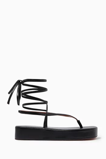 Jamie Flatform in Nappa  