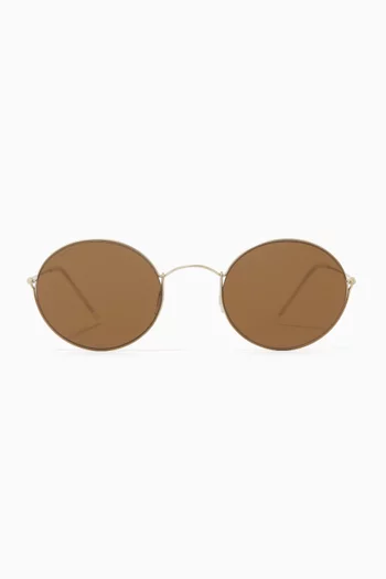 Round Sunglasses in Titanium  