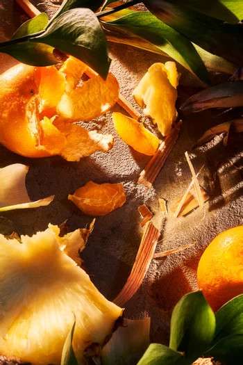 Roja Apex Eau De Parfum 100ml