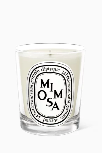 Mimosa Candle, 190g