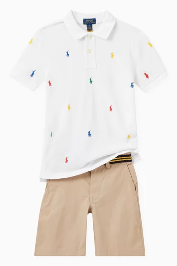 Belted Bermuda Shorts in Cotton