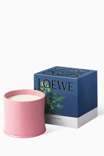Large Ivy Candle, 2120g