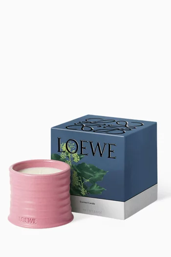 Small Ivy Scented Candle, 170g