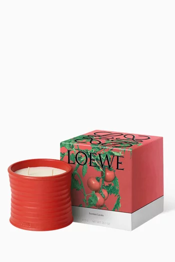 شمعة معطرة توميتو ليفز متوسطة، 610 غرام