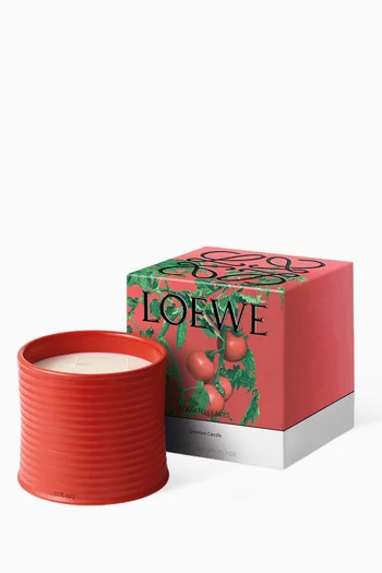 شمعة معطرة توميتو ليفز كبيرة، 2120 غرام