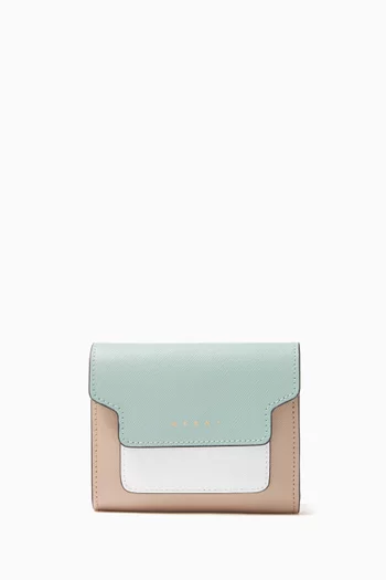 Colour-blocked Wallet in Saffiano Leather