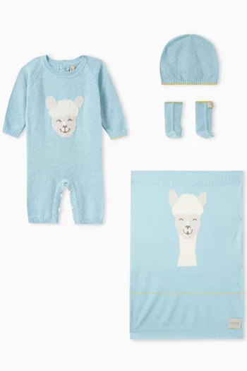 Alpaca Gift Set in Silk-cotton