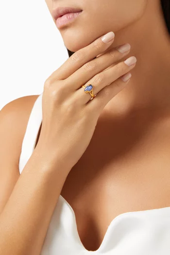 Meteorite Ring in Gold-plated Brass