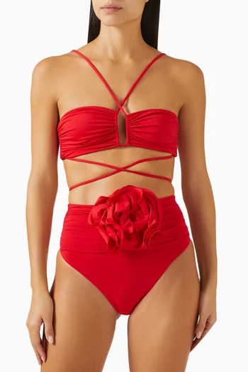 Flower Appliqué Swim Briefs in Stretch Nylon