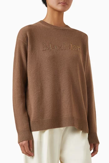 Kassel Embellished Sweater in Wool-cashmere