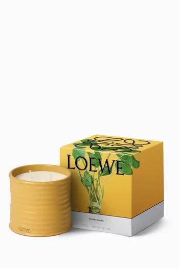 شمعة واسابي متوسطة، 610 غرام