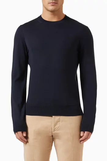 Crewneck Sweater in Merino Wool