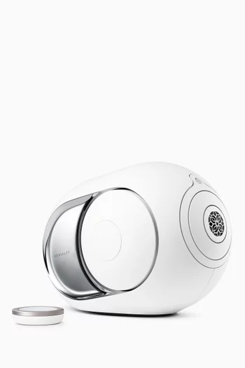Phantom I 103 dB Light Chrome Speaker