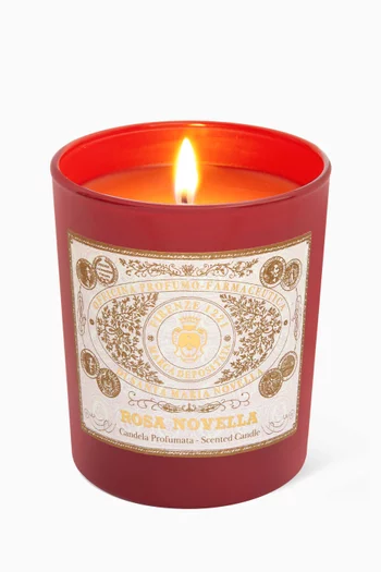 Rosa Novella Scented Candle, 250g