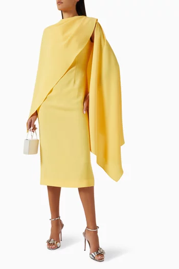 Shila Midi Dress in Viscose