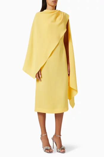 Shila Midi Dress in Viscose