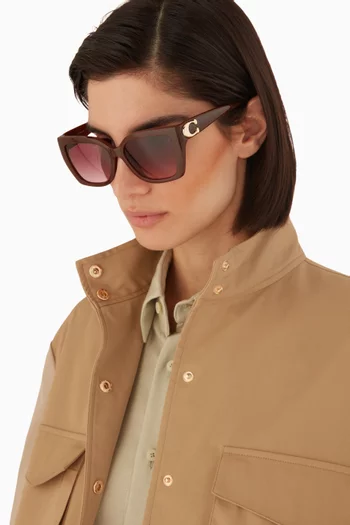 Oversized D-frame Sunglasses in Acetate