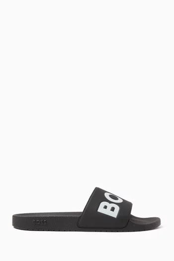 Aryeh Logo Slides in PVC