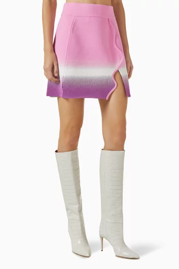 Aster Carwash Skirt
